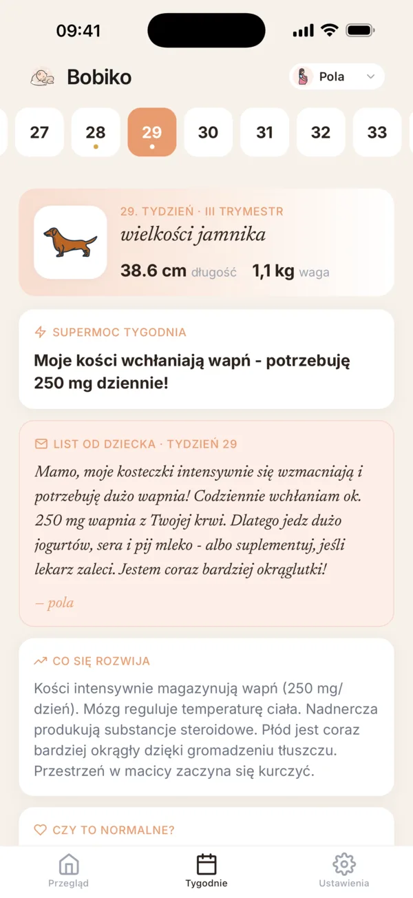 Dziennik tygodniowy